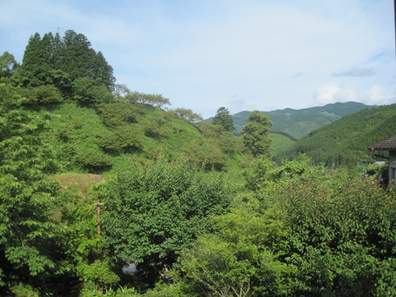 窓からの景色