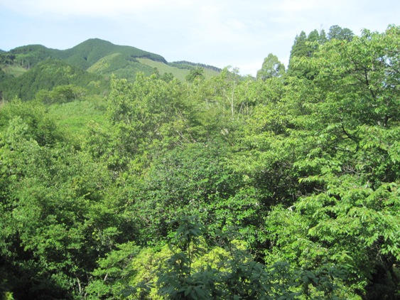 窓からの景色