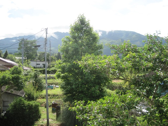 窓からの景色
