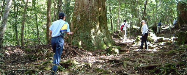 登山イメージ
