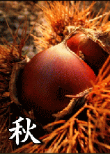 秋