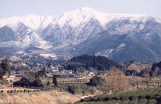 冬1