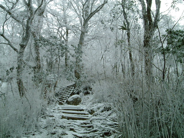冬2