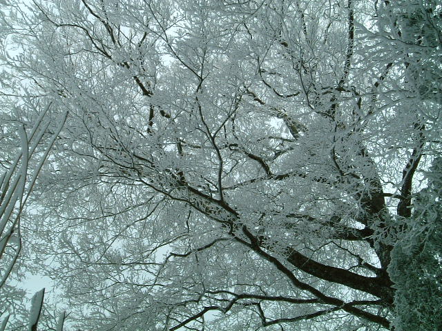 冬3