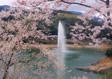 春1