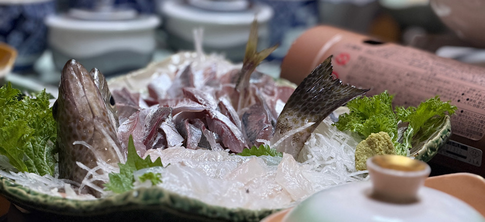 魚介イメージ