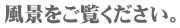 iB 