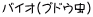 oCIiuhEj 